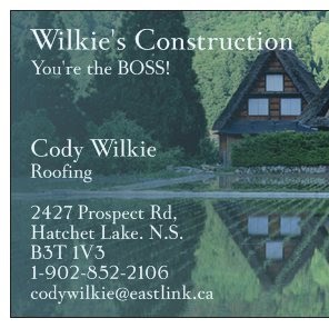 James Wilkie Photo 36