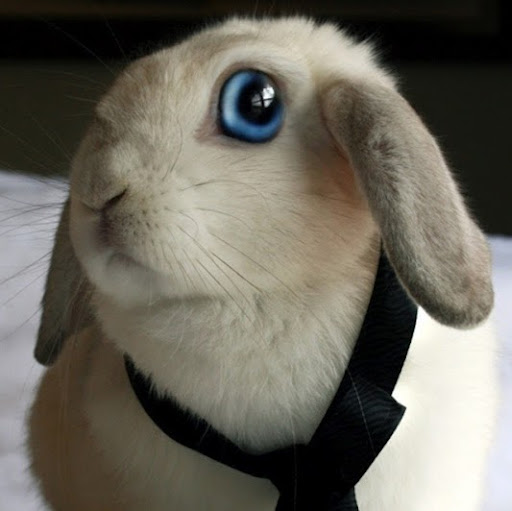 Molly Wolfe Photo 15