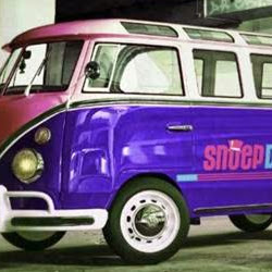 Steven Petit Photo 9