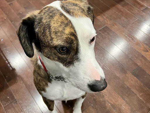 Becky Mckelvey Photo 4