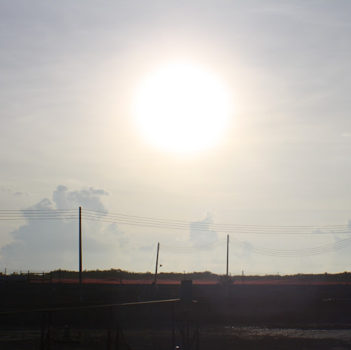 Stephen Francis Photo 45