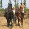 Heather Bruce Photo 37