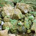 Debra Watson Photo 40