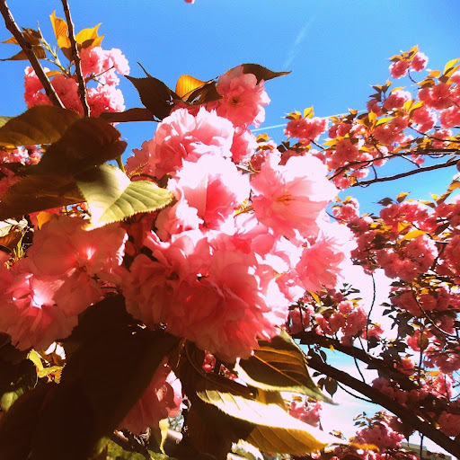 Lillie Jones Photo 9