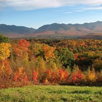 Jean Cushing Photo 2