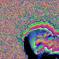 Jared Bailey Photo 15