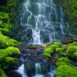 Dennis Tseng Photo 19