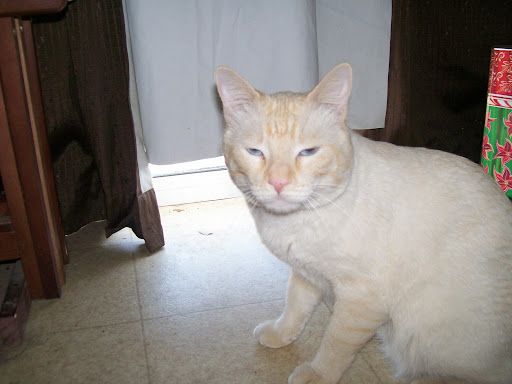 Ruth Paxton Photo 14