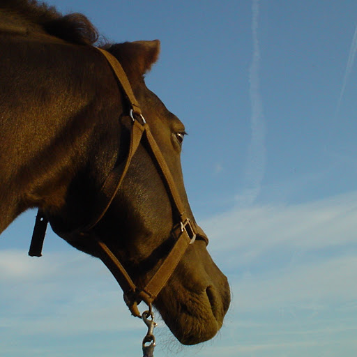 Emily Keating Photo 16