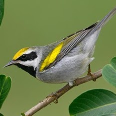 James Rodewald Photo 5