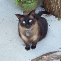 Christine Severson Photo 9