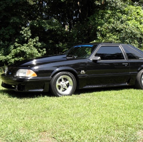 Mark Howard Photo 36