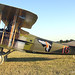 Tom Freeman Photo 7