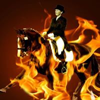 Carolyn Hansen Photo 6