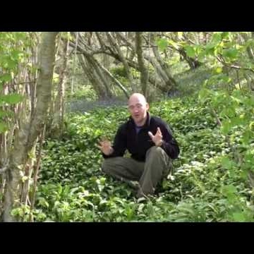 Scott Maynard Photo 21