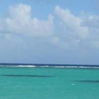 Elizabeth Tyson Photo 16