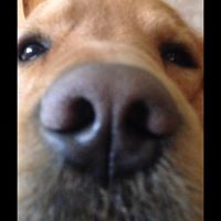 Larry Meyers Photo 18