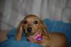 Deborah Gray Photo 6