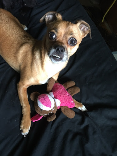 Judith Schneider Photo 37