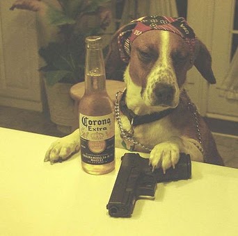 Mark Wortman Photo 5