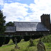 Mary Brammer Photo 25