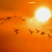John Dykstra Photo 41
