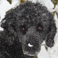 Donna Smart Photo 17 Donna Smart Photo 17