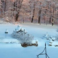 Peter Maniscalco Photo 11