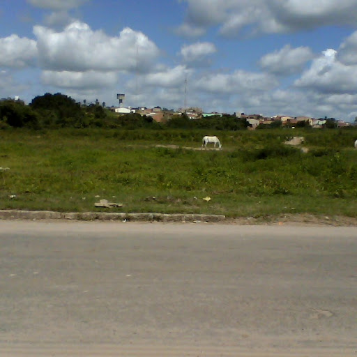 Pedro Cosme Photo 5