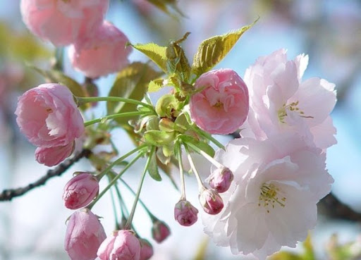 Sharon Atkinson Photo 25