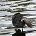 Steven Wieland Photo 11