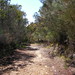 Stephen Peak Photo 15