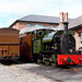 Thomas Hillman Photo 40