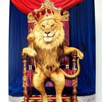 Micheal Pruitt Photo 12