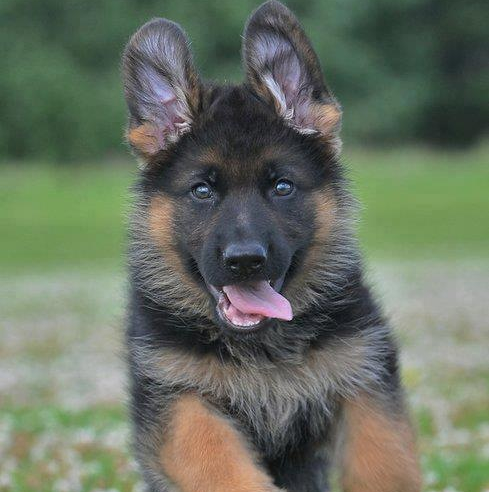 Julie Clements Photo 30