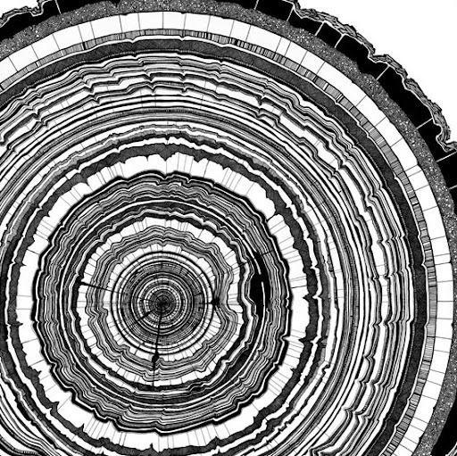 Douglas Shepherd Photo 28