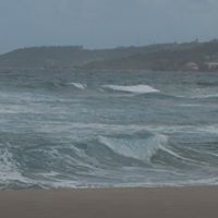 Bernard Payne Photo 9