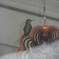 Joyce Houser Photo 22