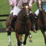 Thomas Nicholson Photo 40