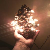 Phyllis Kessler Photo 23