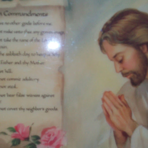 Ladonna Cook Photo 19