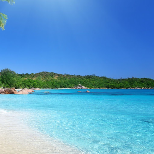 Omar Ortega Photo 13