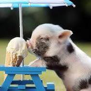 Lisa Nyeboer Photo 4