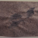 Jean Marcel Photo 8