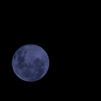 Margaret Spivey Photo 11