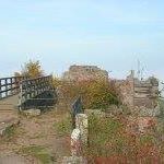 Betty Jaeger Photo 26