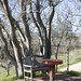 Francis Warner Photo 10