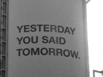 Drew Robertson Photo 14