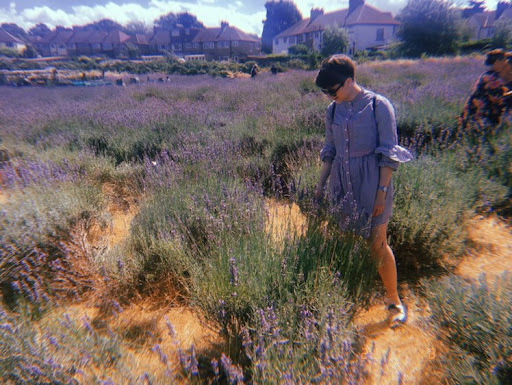 Alice Woods Photo 16