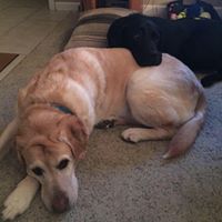 Susan Mchugh Photo 21